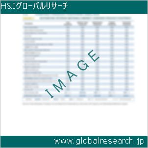 グローバルリサーチ調査レポートのイメージ